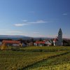 Hagnau